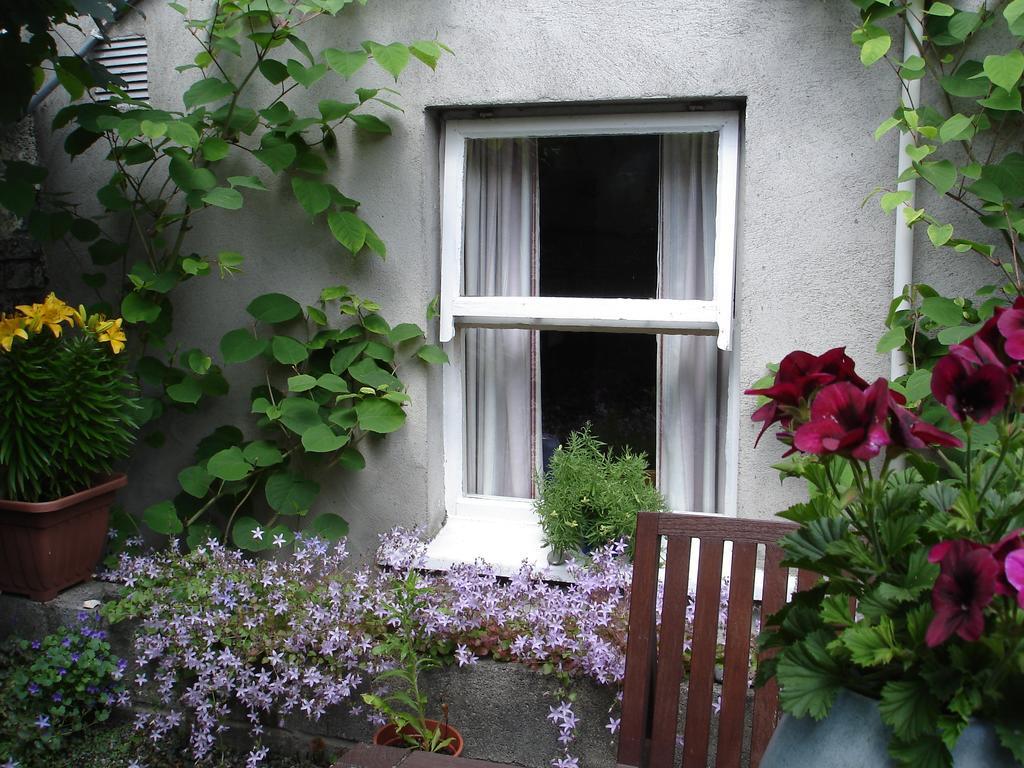 Harrington House Hostel Dublin Ngoại thất bức ảnh