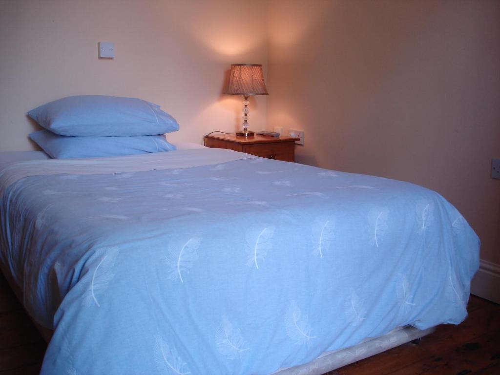 Harrington House Hostel Dublin Phòng bức ảnh
